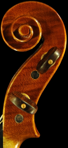 �o�C�I���� �C�^���A ���E�� �ؖ����t