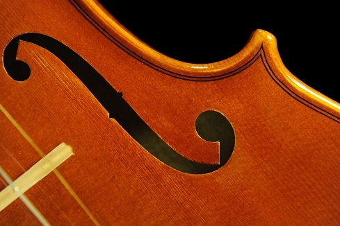 �o�C�I���� �C�^���A ���E�� �ؖ����t