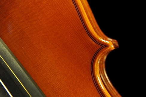 �o�C�I���� �C�^���A ���E�� �ؖ����t