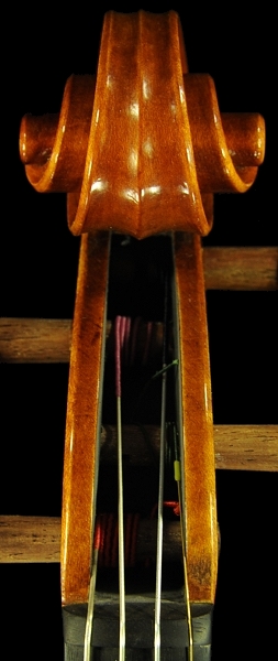 �o�C�I���� �t�����X �C�^���A ��������