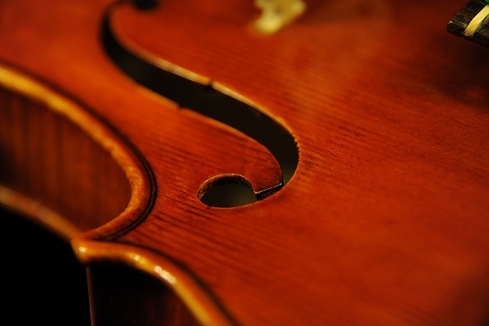 ���F�b�g�[�� ���| �}�W�R �C�^���A �o�C�I����