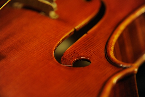 Vettori Lapo Violin MAGICO Italy