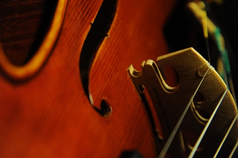 ���F�b�g�[�� ���| �}�W�R �C�^���A �o�C�I����