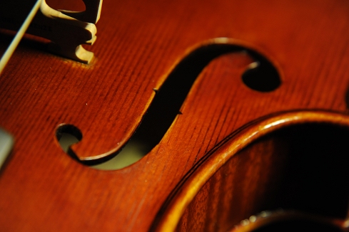 Vettori Lapo Violin MAGICO Italy