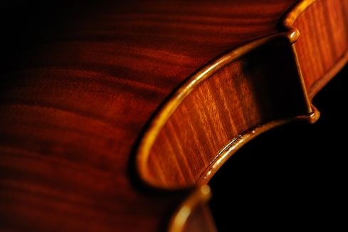 Vettori Lapo Violin MAGICO Italy