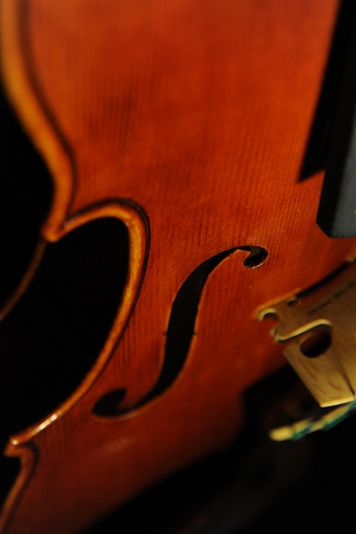 ���F�b�g�[�� ���| �}�W�R �C�^���A �o�C�I����