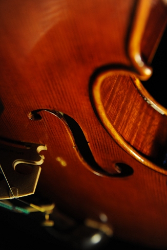 Vettori Lapo Violin MAGICO Italy