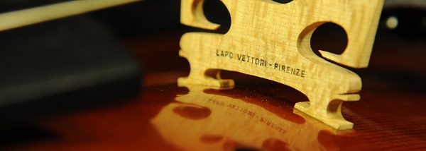 ���F�b�g�[�� �}�W�R �C�^���A �o�C�I����