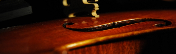 Vettori Violin MAGICO Italy