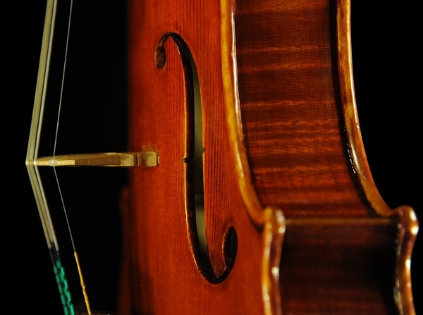 Vettori Violin MAGICO Italy