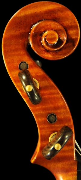 ���F�b�g�[�� ���| �t�B�����c�F �C�^���A �o�C�I����