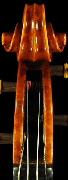 ���F�b�g�[�� ���| �t�B�����c�F �C�^���A �o�C�I����