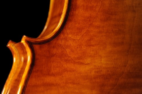 �R�j�A �X�e�t�@�m �r�I�� �C�^���[