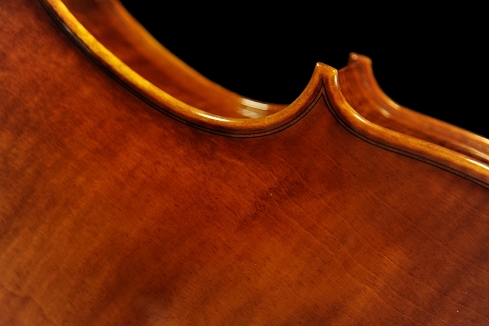 Conia Viola Cremona ITALY