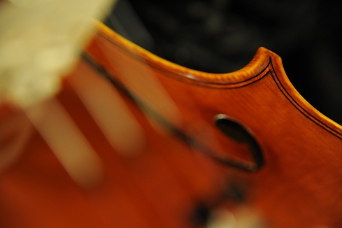 Conia Viola Cremona ITALY