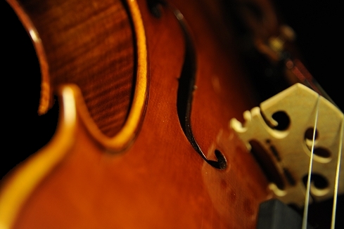 �R�j�A �X�e�t�@�m �r�I�� �C�^���[