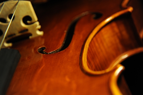 Conia Viola Cremona ITALY