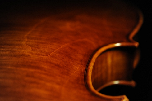 Conia Viola Cremona ITALY