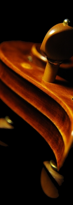 MAGICO Conia Viola ITALY