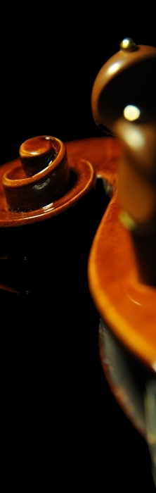 �}�W�R �R�j�A �X�e�t�@�m �r�I��