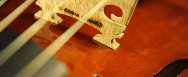 MAGICO Conia Viola ITALY