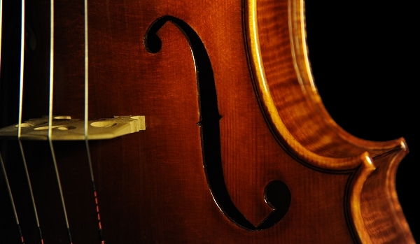 MAGICO Conia Viola ITALY