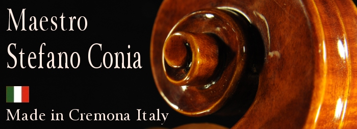 Stefano Conia Viola 2012