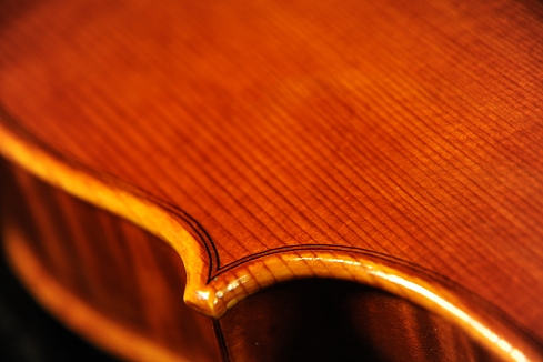 manuele civa viola MAGICO