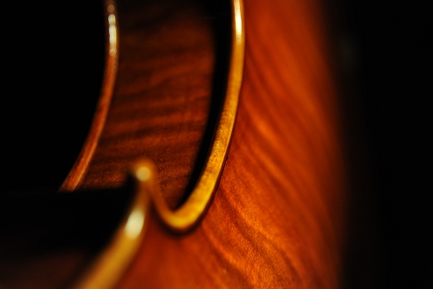 manuele civa viola MAGICO