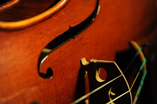 manuele civa viola MAGICO