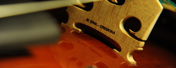 �}�W�R �`�[���@ �r�I�� �C�^���A