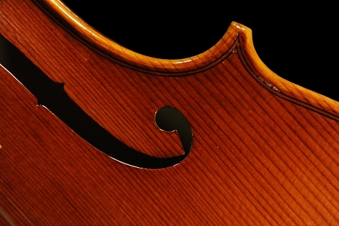 �`�[���@ manuele civa viola