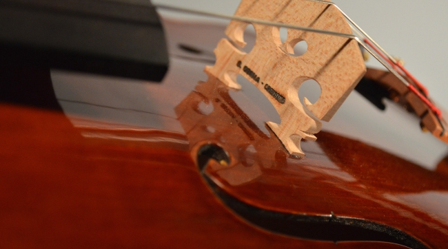 ���B�I�� Conia Italy cremona �C�^���A