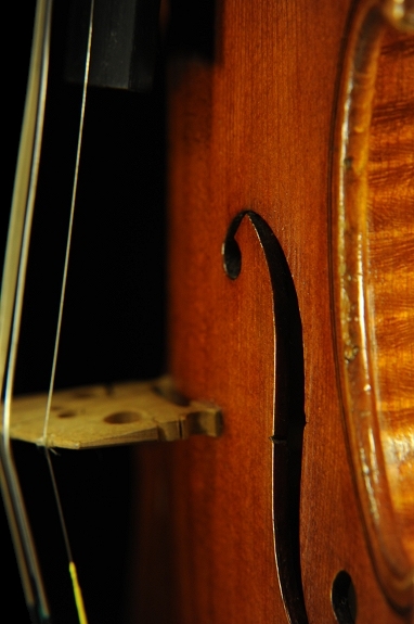 �X�J�����y�� �o�C�I���� �C�^���A