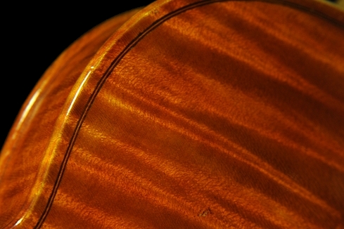 �X�J�����y�� �o�C�I���� �C�^���A