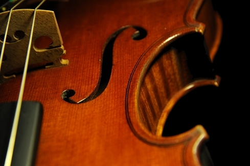 Scarampella Giuseppe ���@�C�I���� �C�^���A