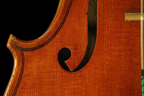 �X�J�����y�� �o�C�I���� �C�^���A