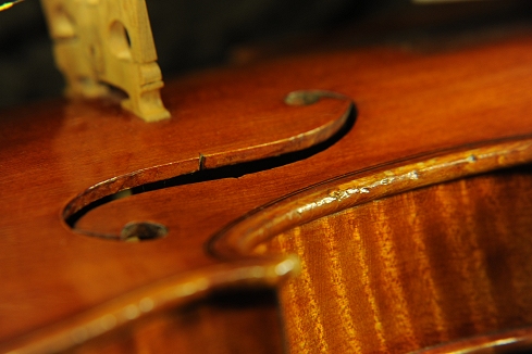 Scarampella Giuseppe ���@�C�I���� �C�^���A