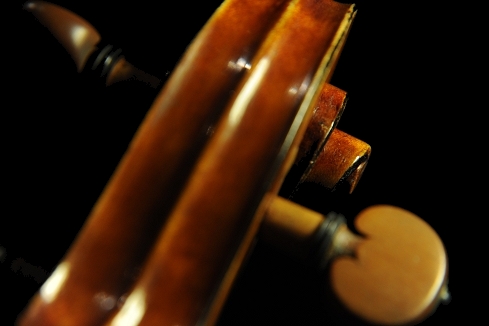 �X�J�����y�� �o�C�I���� �C�^���A