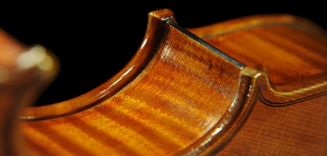 �X�J�����y�� �o�C�I���� �C�^���A