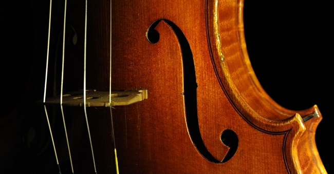 �X�J�����y�� �o�C�I���� �C�^���A