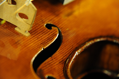 �\�t���b�e�B �o�C�I���� �C�^���A