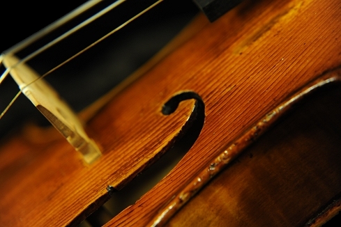 �\�t���b�e�B �o�C�I���� �C�^���A