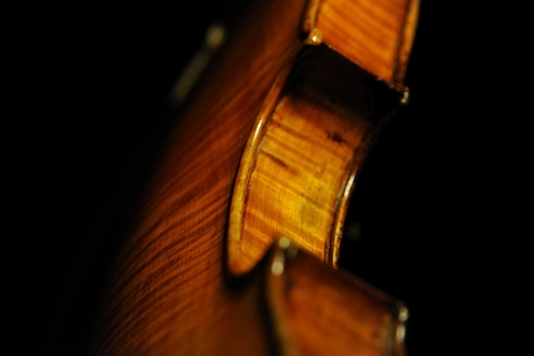 �\�t���b�e�B �o�C�I���� �C�^���A