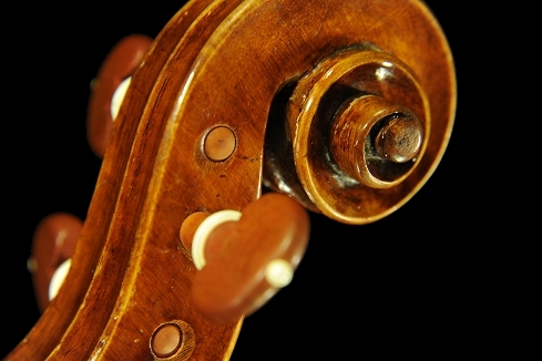 �\�t���b�e�B �o�C�I���� �C�^���A