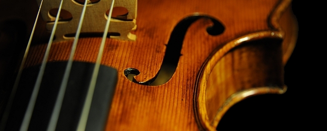 �\�t���b�e�B �o�C�I���� �C�^���A