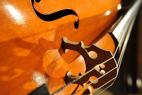 �p�X�P�b�g �`�F�� �C�^���A