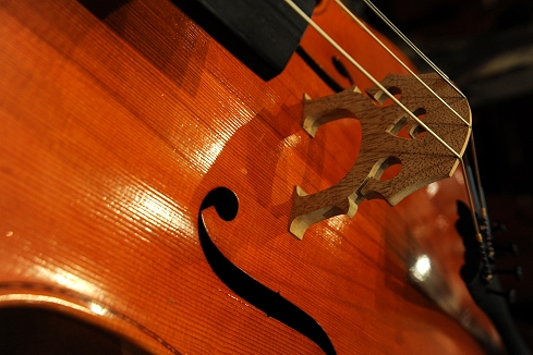 Pasquetto Luca Crema �`�F�� �C�^���A