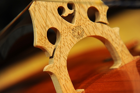 �p�X�P�b�g �`�F�� �C�^���A