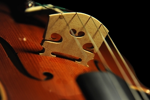 ���B�I�� ���E�� �ؖ����t